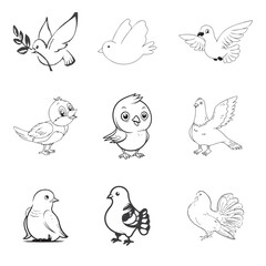  Black and White child Pigeon 12