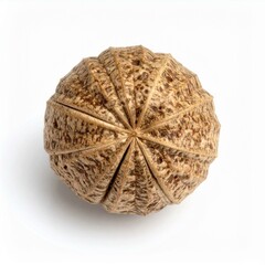 Chinese medicine, herbal therapy, botanical education