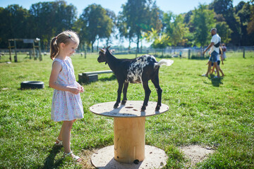 Adorable preschooler girl playing with little goats on a farm.