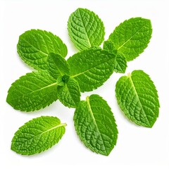 Chinese medicine, herbal therapy, botanical education