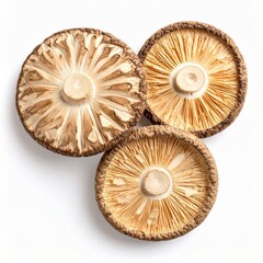 Chinese medicine, herbal therapy, botanical education