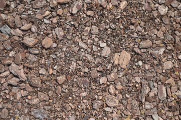 Natural wooden chips texture background on forest floor or garden ground