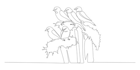 Continuous Line Drawing of Birds Perched on Branches in Minimalist Style