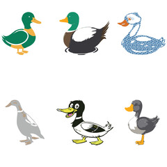 Duck Group Vector design