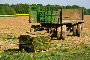 Stack of harvested readymade lawn on pallet in front of trailer