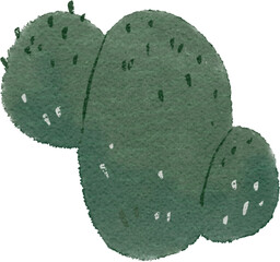Cute Cactus Watercolor