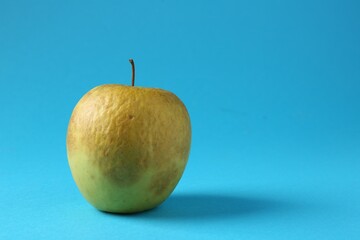 One rotten green apple on light blue background. Space for text
