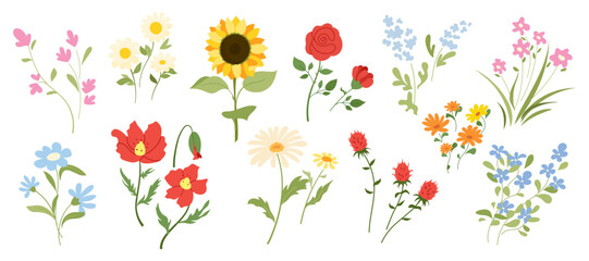 Hand-drawn wildflowers in rustic style. Flat illustrations of daisy, poppy, rose, sunflower and summer meadow plants Vector collection for floral design, eco packaging, wedding decor and fabric prints