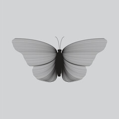 BUTTER FLY LINE DESIGN IDEA