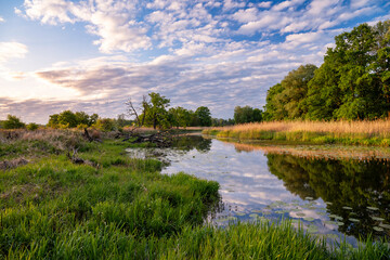 View of the Rogalin Landscape Park