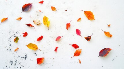 Vibrant Autumn Leaves Arranged on White Surface for Scenic Decor