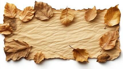 Rustic Autumn Background with Dried Leaves on Natural Paper Texture