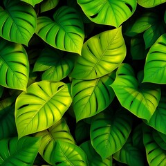 Natural Jungle Leaf Texture Background
