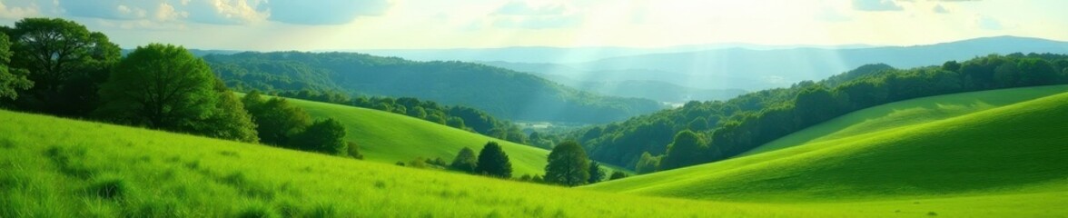 Fototapeta premium Rolling green hills, distant forest, bright daylight, vegetation, sky, sunlight