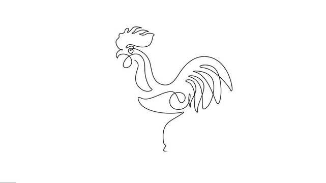 Animated minimalist rooster manmal continuous line animation. 