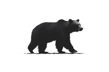 Fototapeta premium Black bear walking with mouth open, showing detailed fur rendering and naturalistic body posture, isolated on a transparent background