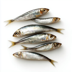 Fototapeta premium anchovies_on_white_background