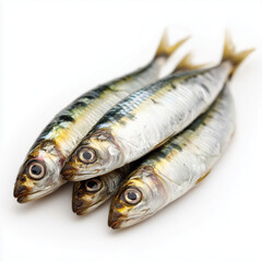 sardines_on_white_background