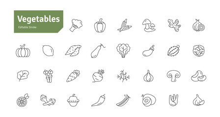 Vegetables Icons Set. Healthy Eating, Vegan Food, Weight Loss, Organic Food, Carrot, Lemon, Tomato, Chili, Cucumber, Potato Icons Editable Stroke Vector Illustration
