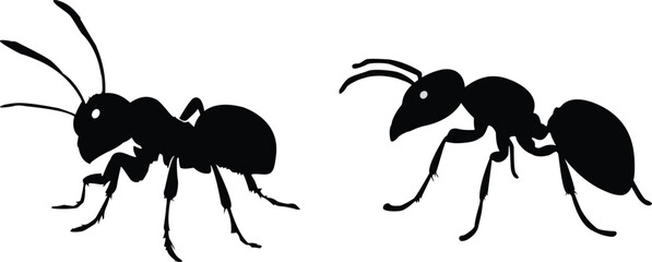 Ant silhouette vector. black ant silhouette isolated on white background