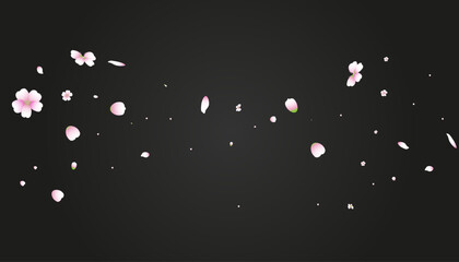 Falling cherry petals. Pink petals on transparent background Japanese Style Flowers Illustration. Valentine, Mother's Day Tender Nice Sakura Blossom Isolated on Black Vector illustration  © Oleh
