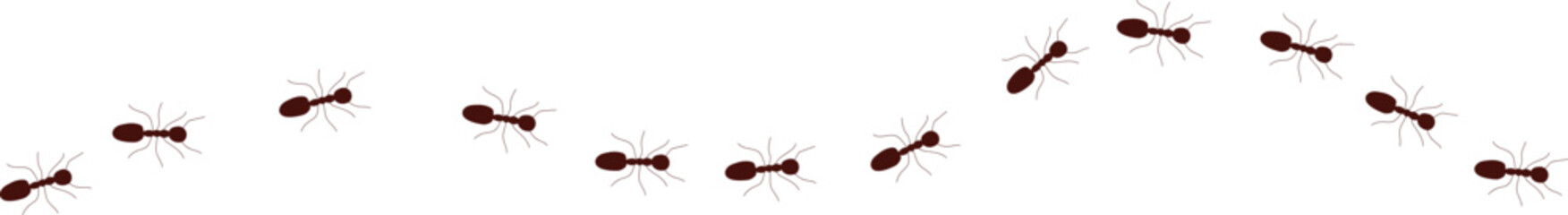 Seamless pattern with ants. Vector illustration. Seamless black ants pattern. Black and white Scandinavian style fauna design