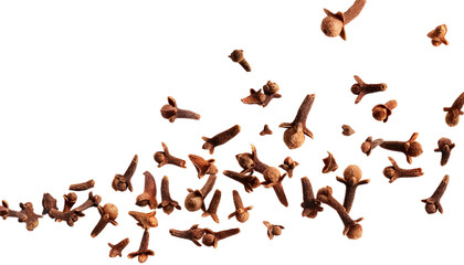 Clove Spice Food Ingredient Aromatic Dry Herbal Kitchen Transparent Background
