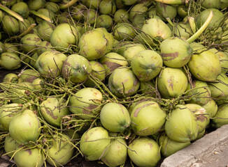 A pile of green coconuts with brown spots