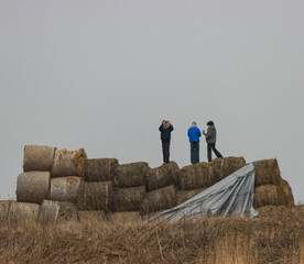 Obraz premium Three people are standing on top of a pile of hay