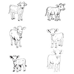 Group cow vector design