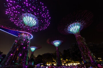 Gardens by the Bay futuristic trees illuminated at night Singapore