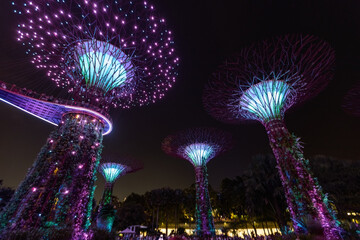Gardens by the Bay futuristic trees illuminated at night Singapore