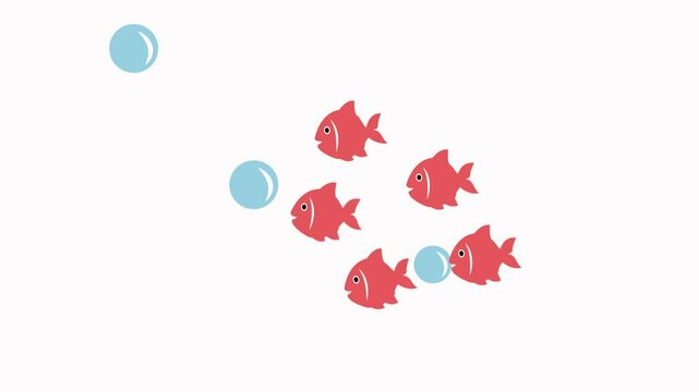 fish icon animation illustration flat