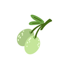 Vector illustration of Hand-drawn olive branch with rustic details and simple, minimal style. Perfect for Mediterranean cuisine, organic food, and natural product designs