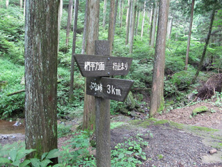日本：ぶな峠と椚平への道標／埼玉県ときがわ町