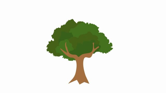 tree icon animation illustration