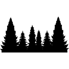 Fototapeta premium Pine Tree Silhouette