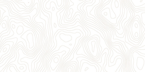 Abstract lines background. Contour maps. Topo contour map on white background. Abstract background with waves Geographic mountain relief.