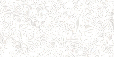 Abstract wave paper curved reliefs background .gradient multicolor wave curve lines banner background design .topographic contours map background .Vector geographic contour map.