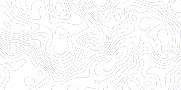 Topographic contour map. similarcartography illustration. Topography and geography map grid abstract backdrop. Business concept. Fish Fillet Texture, Salmon fillet texture, fish pattern. paper texture