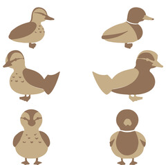 Duck Group Vector Design