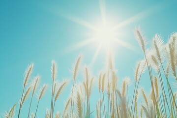 Obraz premium Wheat field with sun and blue sky in the background. Macro shot, ultra-realistic photography. generative ai