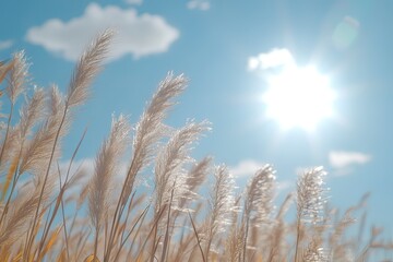 Obraz premium Wheat field with sun and blue sky in the background. Macro shot, ultra-realistic photography. generative ai
