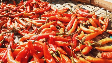 Dried chili for food preservation