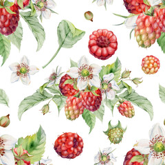 Raspberry mulberry flower buds, leaves, ripe forest garden berries bunch group, hand drawn in watercolor. Isolated seamless pattern. Dessert menu, farmers market grocery, food crockery packaging