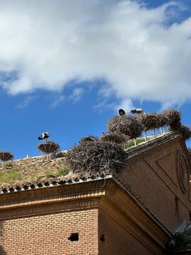 Colonie de Cigognes sur l'&eacute;glise San Miguel &agrave; Alfaro