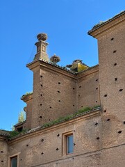 Colonie de Cigognes sur l'&eacute;glise San Miguel &agrave; Alfaro