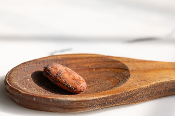 Cacao bean in sunlight on wooden spoon