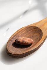 Macro view of cacao bean on spoon