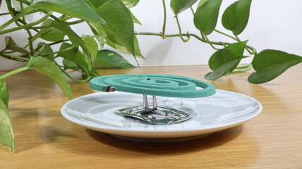 Spirale antizanzare e pappataci antizanzare posta su un piatto con sfondo di (Philodendron Cordatum) rampicante